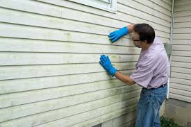 Best Siding Painting and Refinishing  in Wanatah, IN